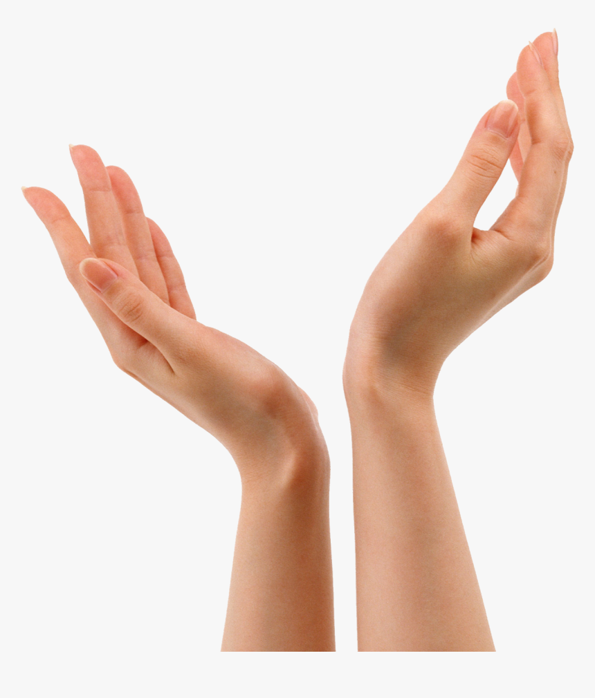 Wrist - Hands Png, Transparent Png