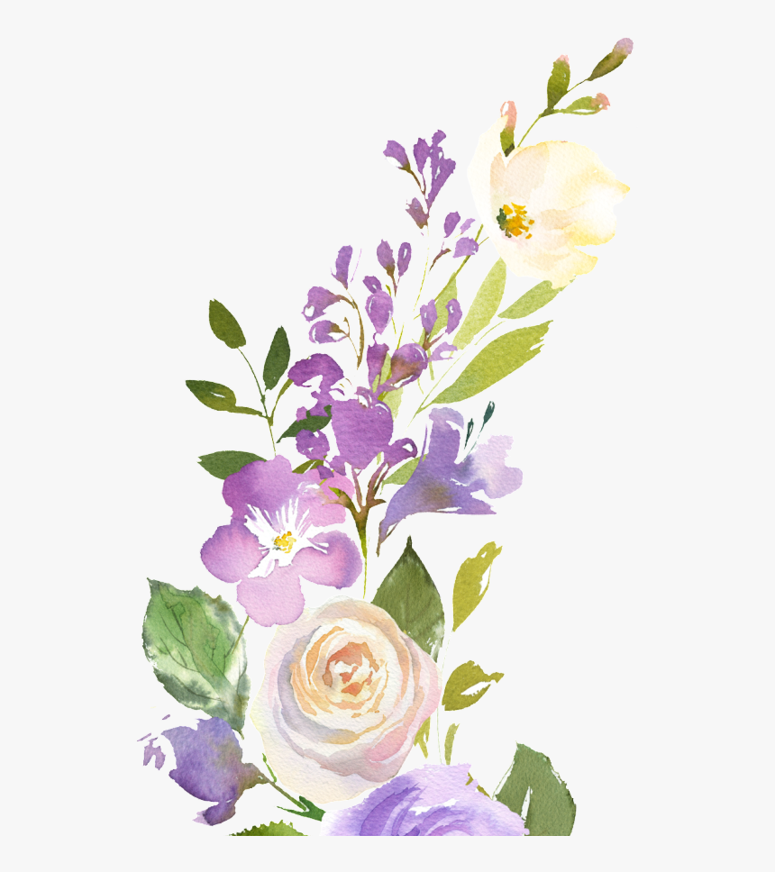 Plant Png Files, Transparent Png
