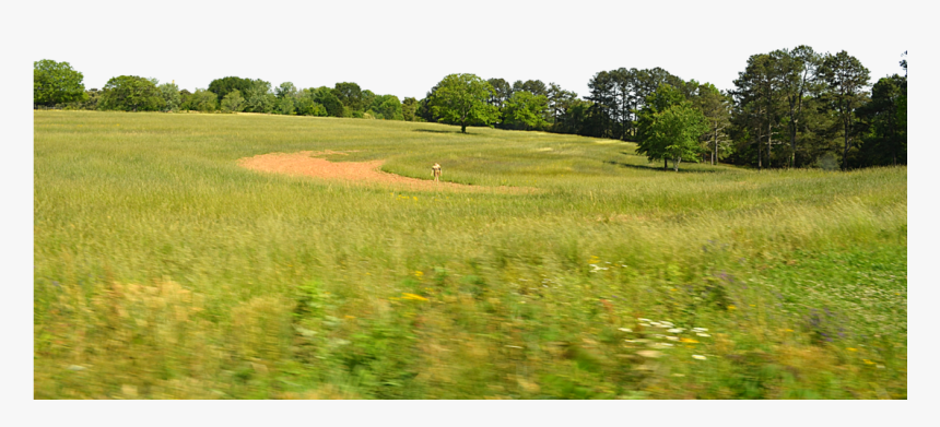 Transparent Baseball Field Background Clipart - Green Field Png Background, Png Download