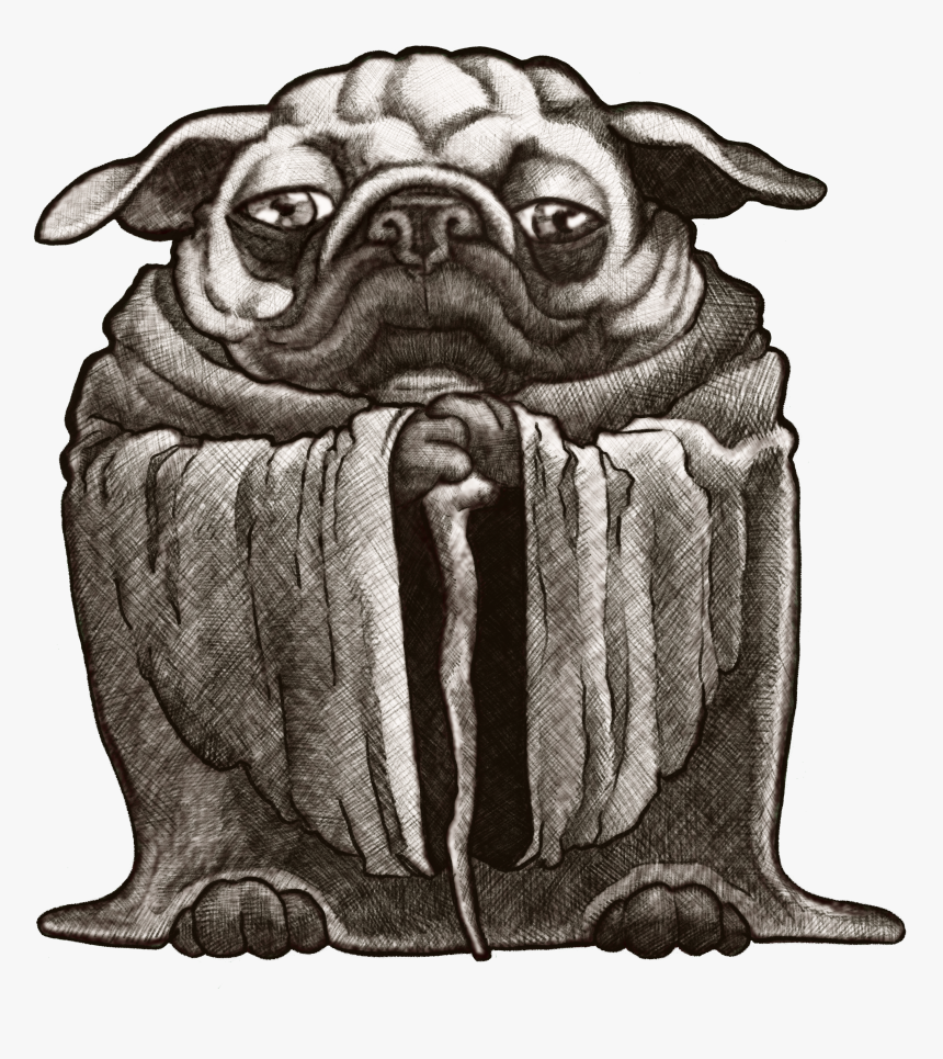 Pug Png, Transparent Png