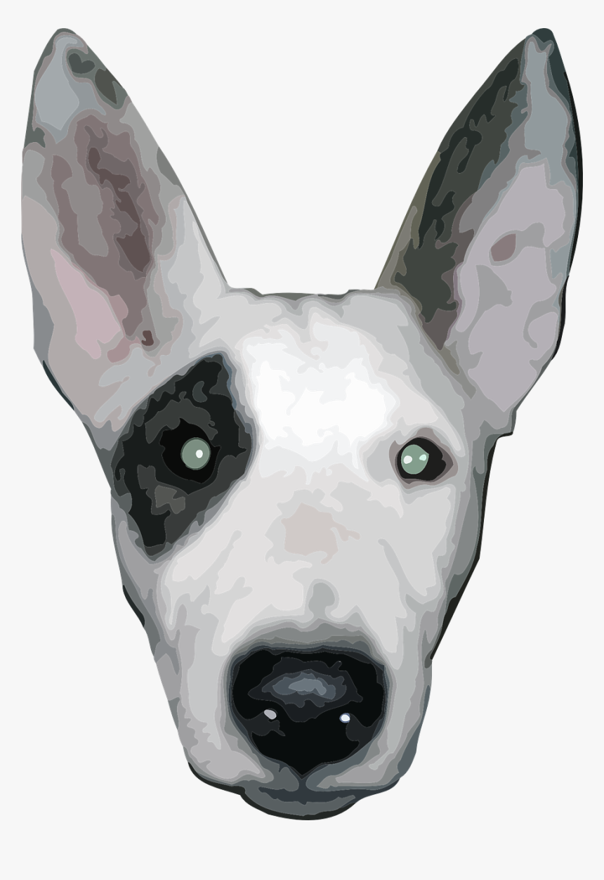 Head,non Sporting Group,bull Terrier - Bull Terrier Face Png, Transparent Png
