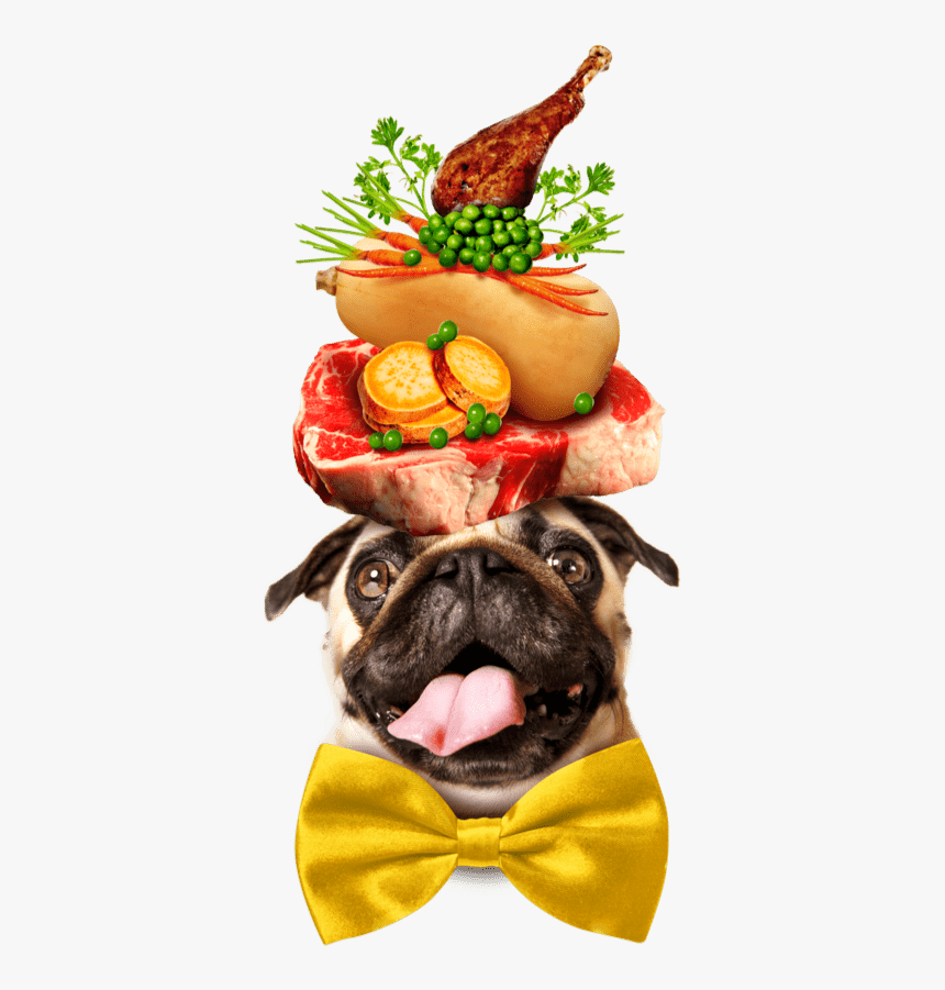A Pug Dog Wearing A Large Yellow Bowtie, And Balancing - Pug Dog On His Head Fruits, HD Png Download