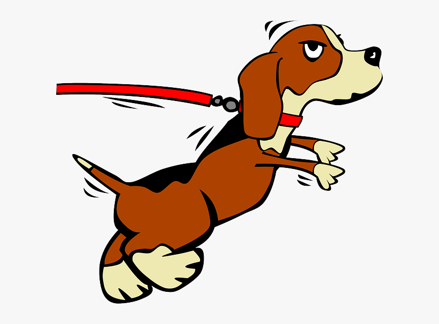 Puppy, Leash, Leashed, Jumping, Collar, Pedigree - Dog On Leash Clip Art, HD Png Download