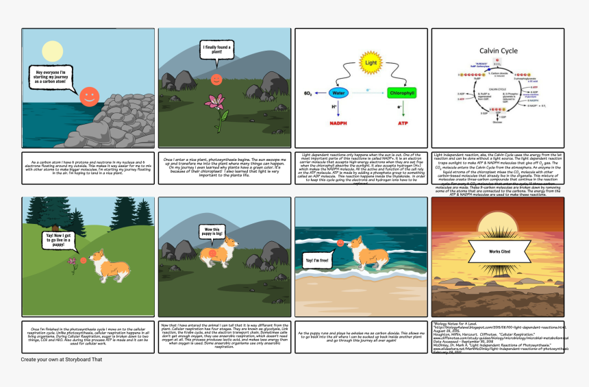 Photosynthesis Calvin Cycle, HD Png Download