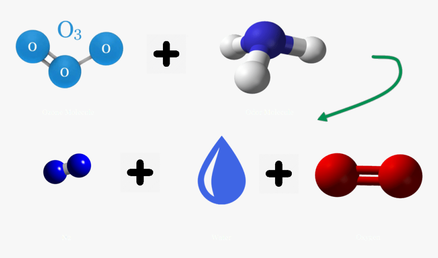 Atom In The Ozone Attaches Itself To Other Molecules, - Cross, HD Png Download