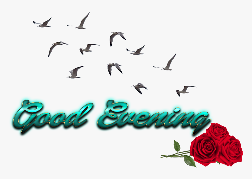 Free Png Download Cb Birds Picsart Png Images Background - Picsart Png Image Cb Background, Transparent Png