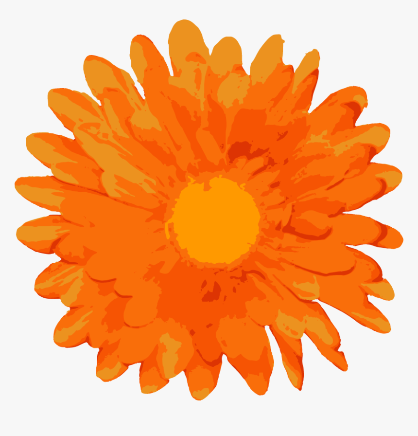 Random Free Flower Vectors Free Vector Marigold Flowers Vector