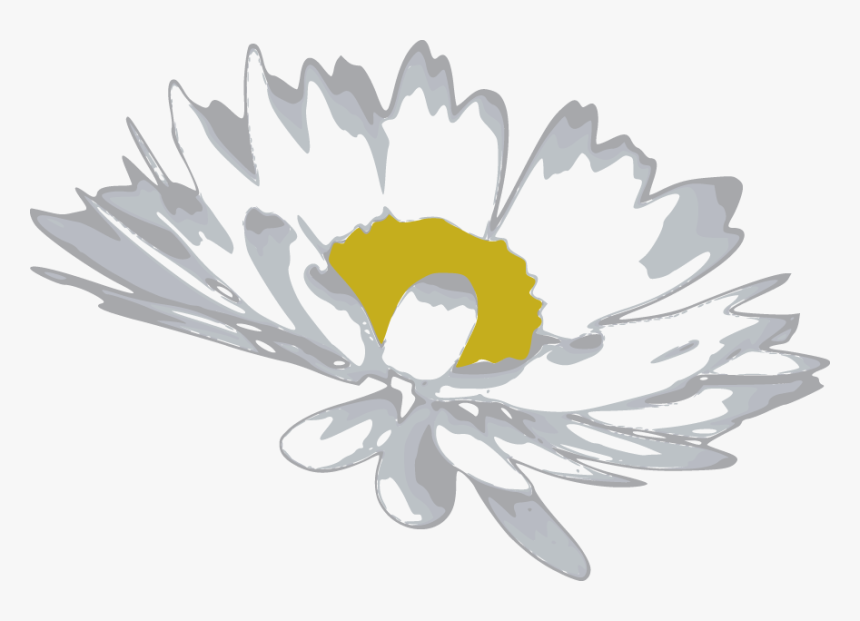 Free Vector Random Free Vectors Part - Camomile Flower Vector Png, Transparent Png