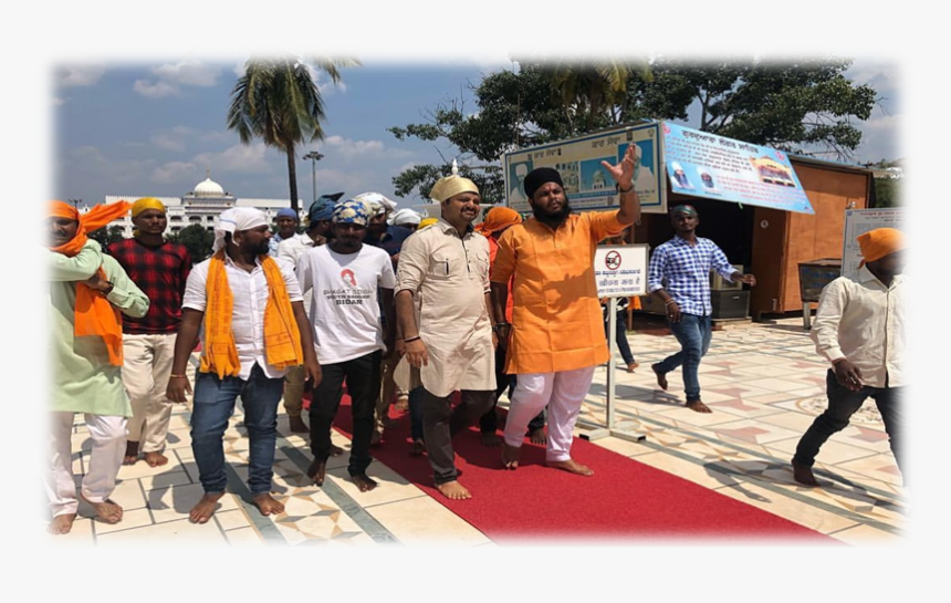 Palm Tree, HD Png Download