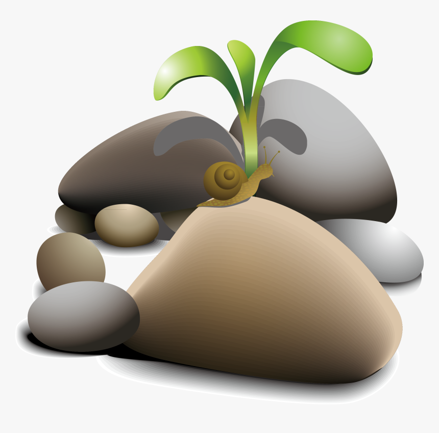 Pebble Clip Art Snail - Planta En Piedras, HD Png Download