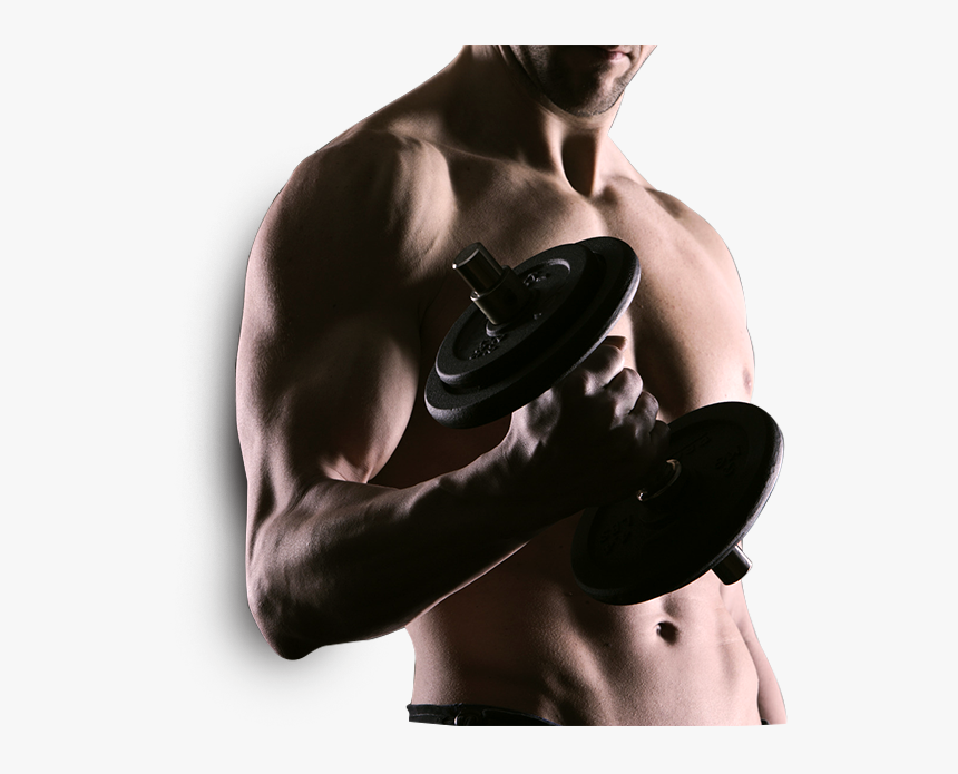 Exercise Should Be Regarded As Tribute, HD Png Download