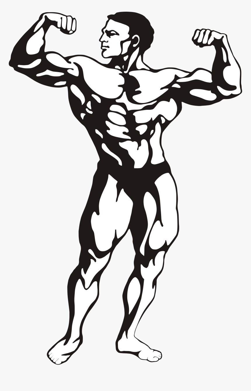 Body Building Clip Art, HD Png Download