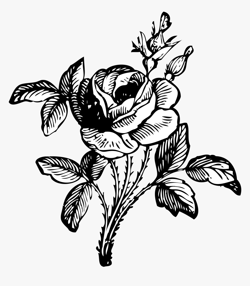 Flower Png Black And White, Transparent Png