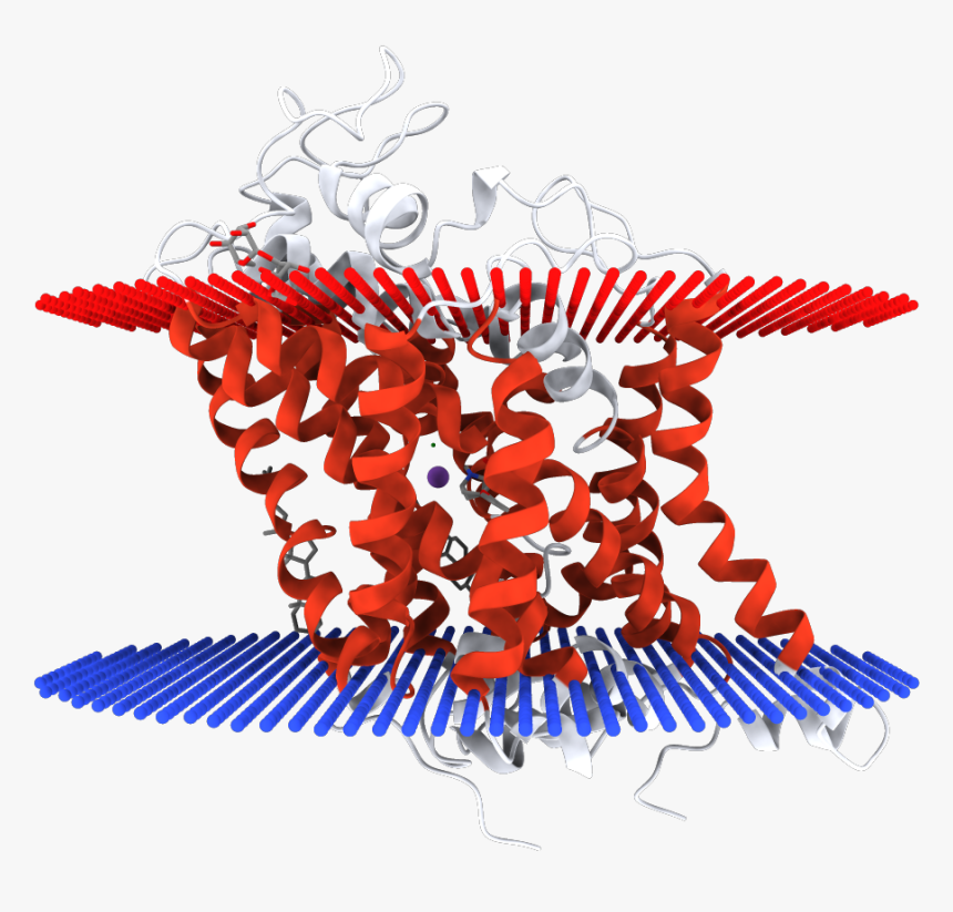 Illustration Clipart , Png Download, Transparent Png