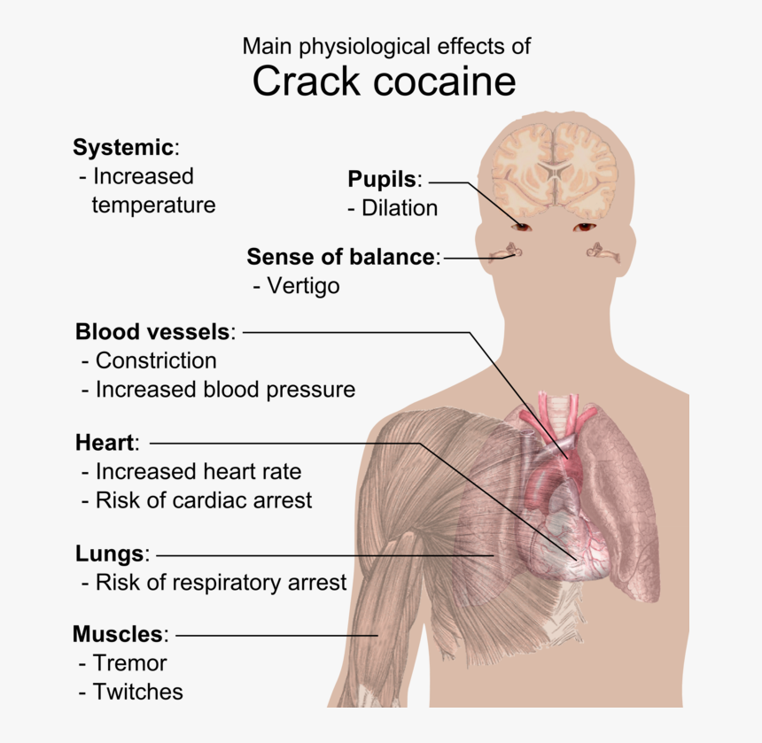 Crack Effects On Body, HD Png Download