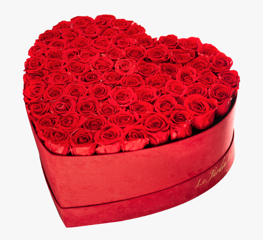 Garden Roses, HD Png Download