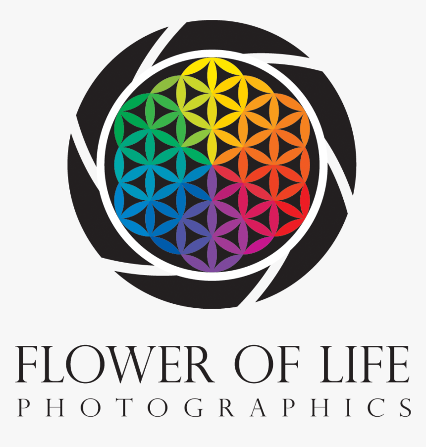 Flower Of Life Logos , Png Download - Flower Of Life Logos, Transparent Png