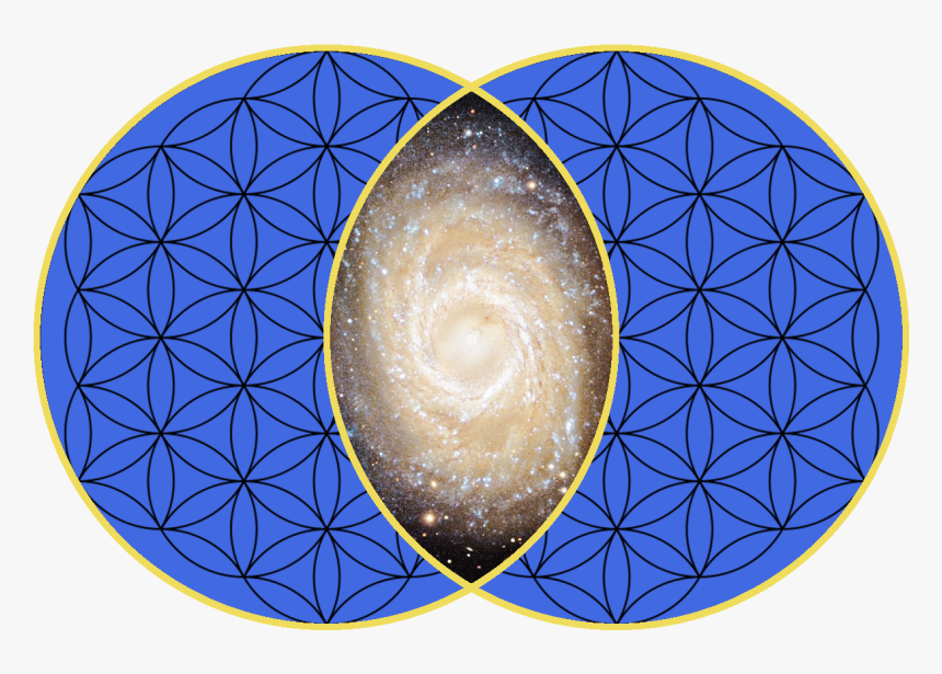 We In The Universe, HD Png Download