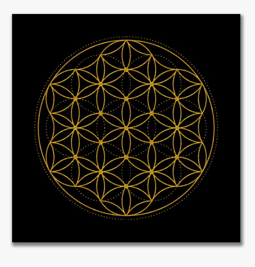 Flower Of Life Alamy, HD Png Download