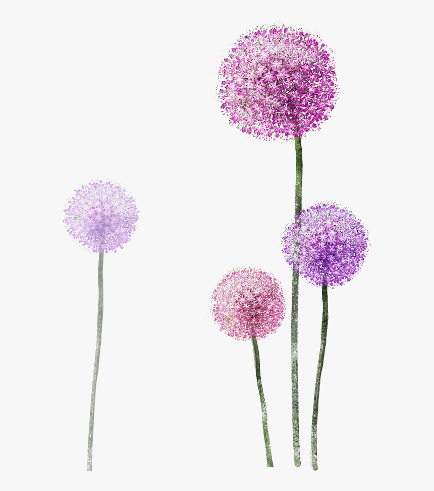 Watercolor Purple Flower Painting Dandelion Free Frame - Dandelion Png, Transparent Png