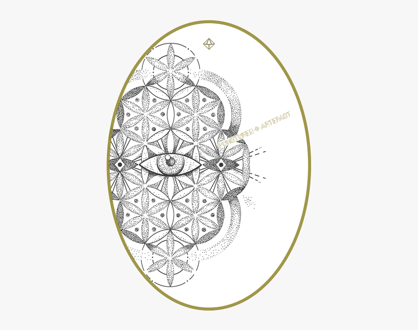 Circle, HD Png Download