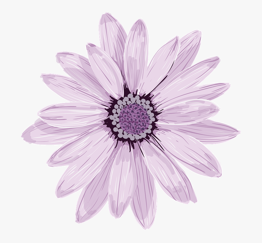 Flower, Spring, Fresh, Purple, Pink, Flora - Purple Flower Vector Free, HD Png Download