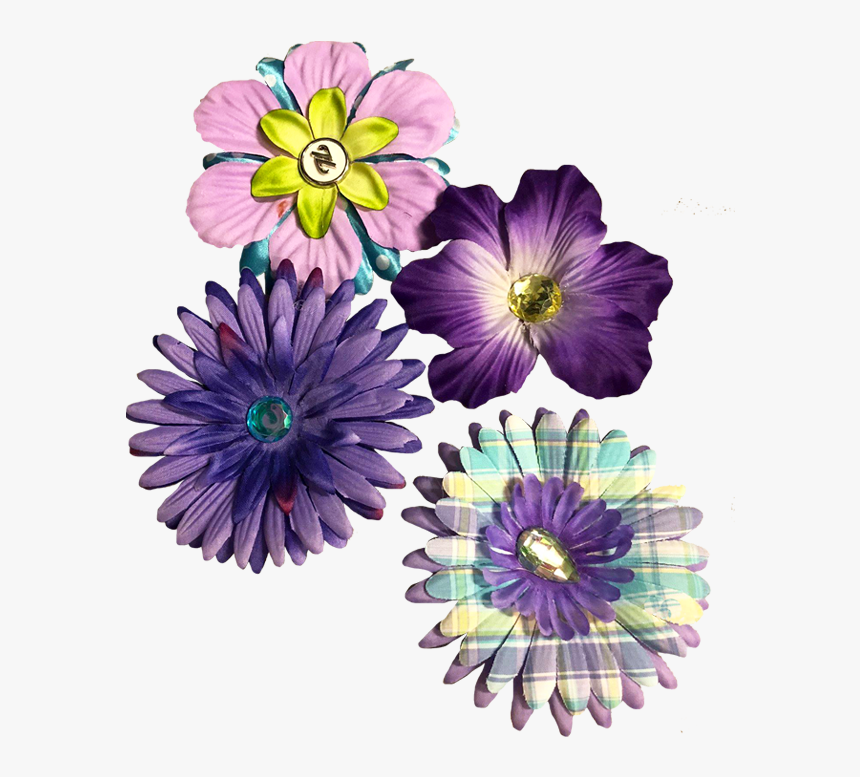 African Daisy, HD Png Download
