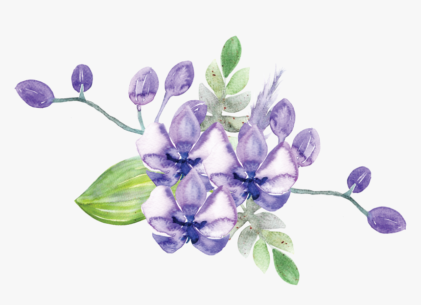Idignity Seeds Of Hope Purple Flower - Gentiana, HD Png Download