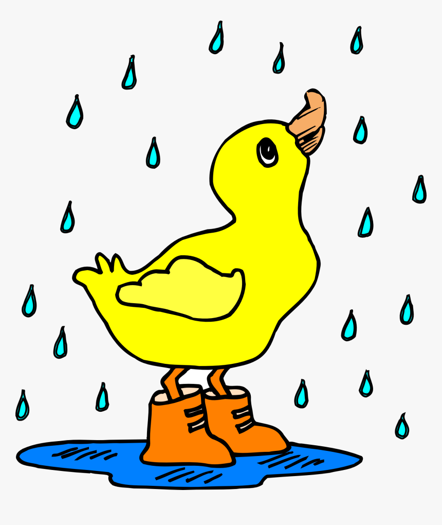 Duck In The Rain Clipart, HD Png Download