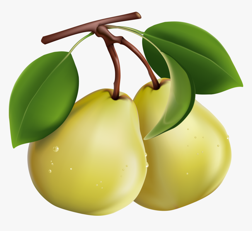 Pear - Pears Clipart Png, Transparent Png