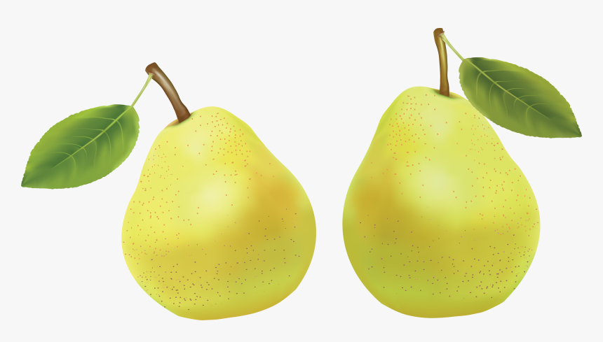 Груши анжу. Ккал груша вильямс. Груши гийот. Груша коричневая. Груша путь.