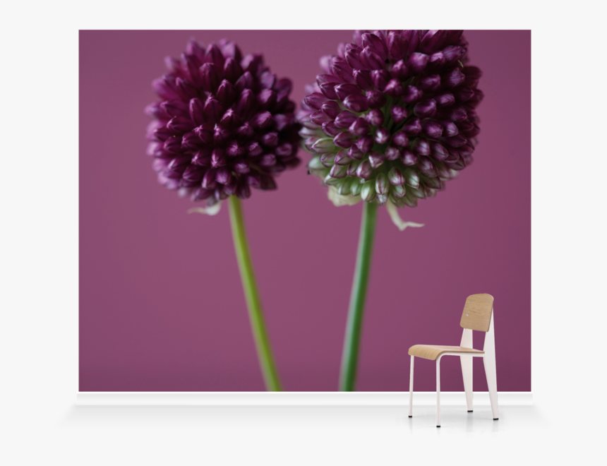 Dahlia, HD Png Download