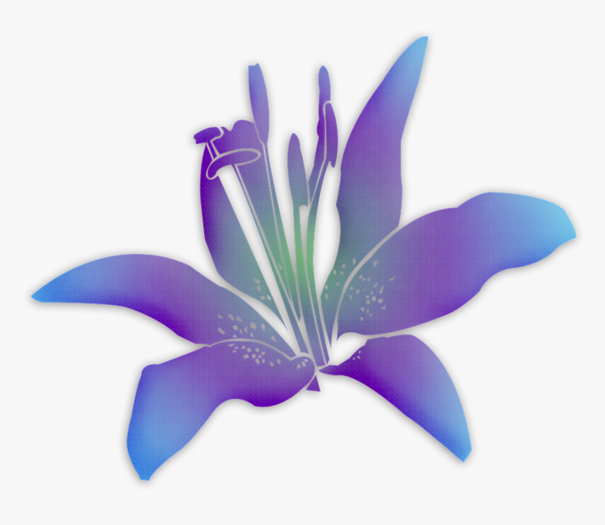 Flowers Flower Purple Flower Free Picture - Flower, HD Png Download