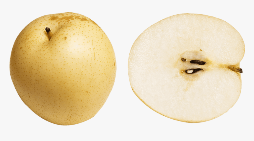 Asian Pear Png - Korean Pear Png, Transparent Png