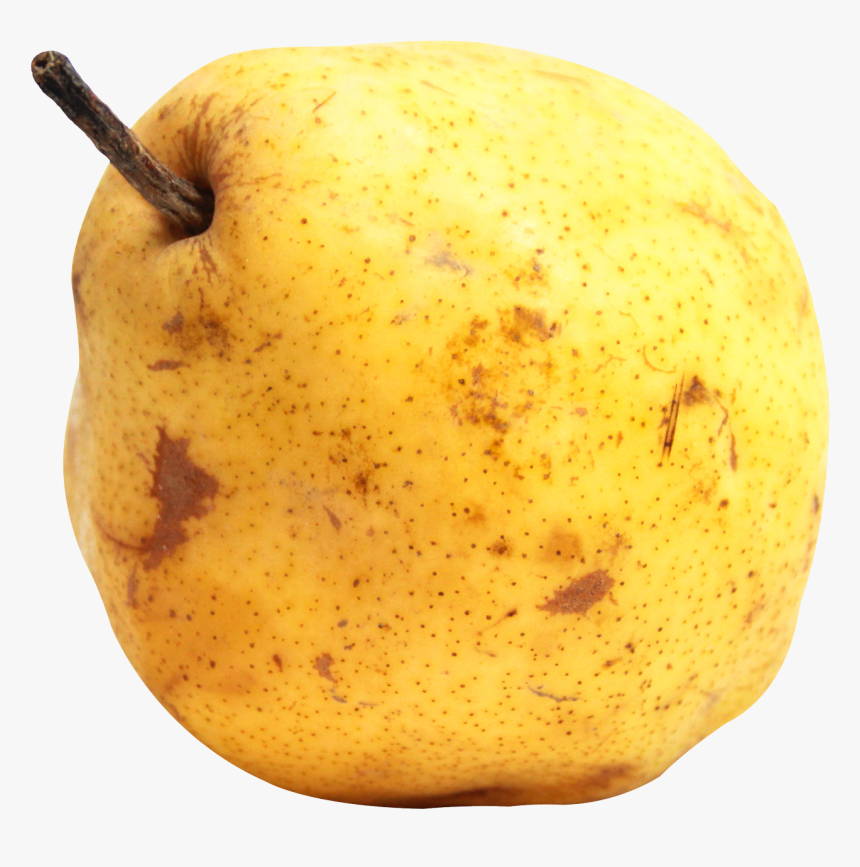 Pear, HD Png Download