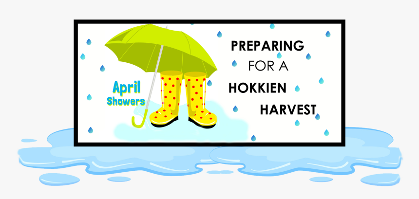 Final Title April And Puddle - Umbrella, HD Png Download