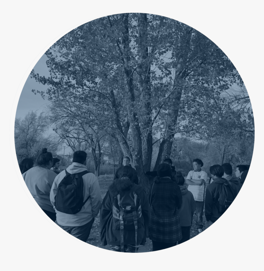 Observe - Group - Blue - Circle, HD Png Download