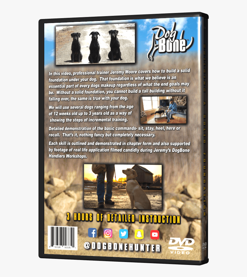 Flyer, HD Png Download