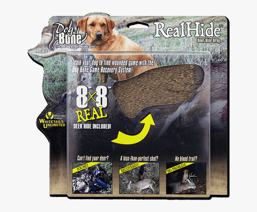 Companion Dog, HD Png Download