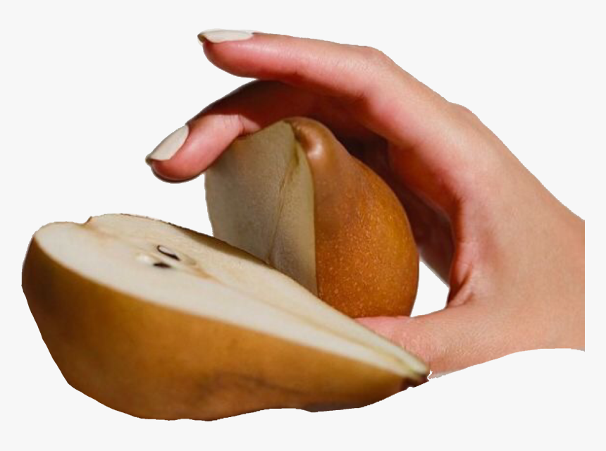 #pear And A #hand Png 🍐 ♡tags♡ - Brown Pngs Moodboard, Transparent Png