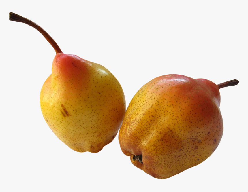 Rose Hip, HD Png Download