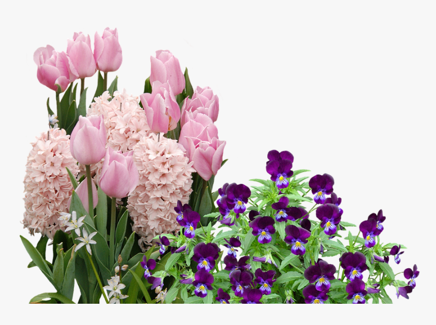 Easter Flower Png - Easter Flowers Png, Transparent Png