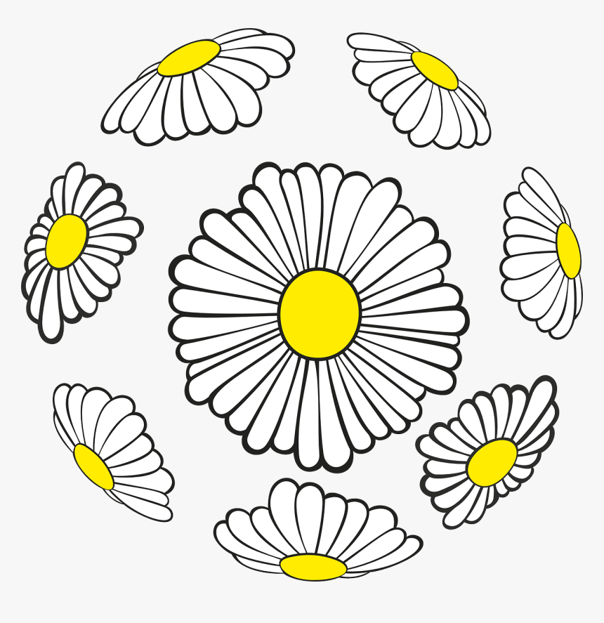 รูป ดอก เด ซี่ Png, Transparent Png