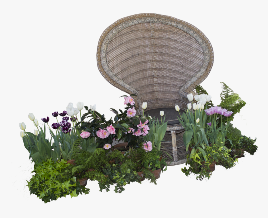 Spring Flowers Png, Transparent Png