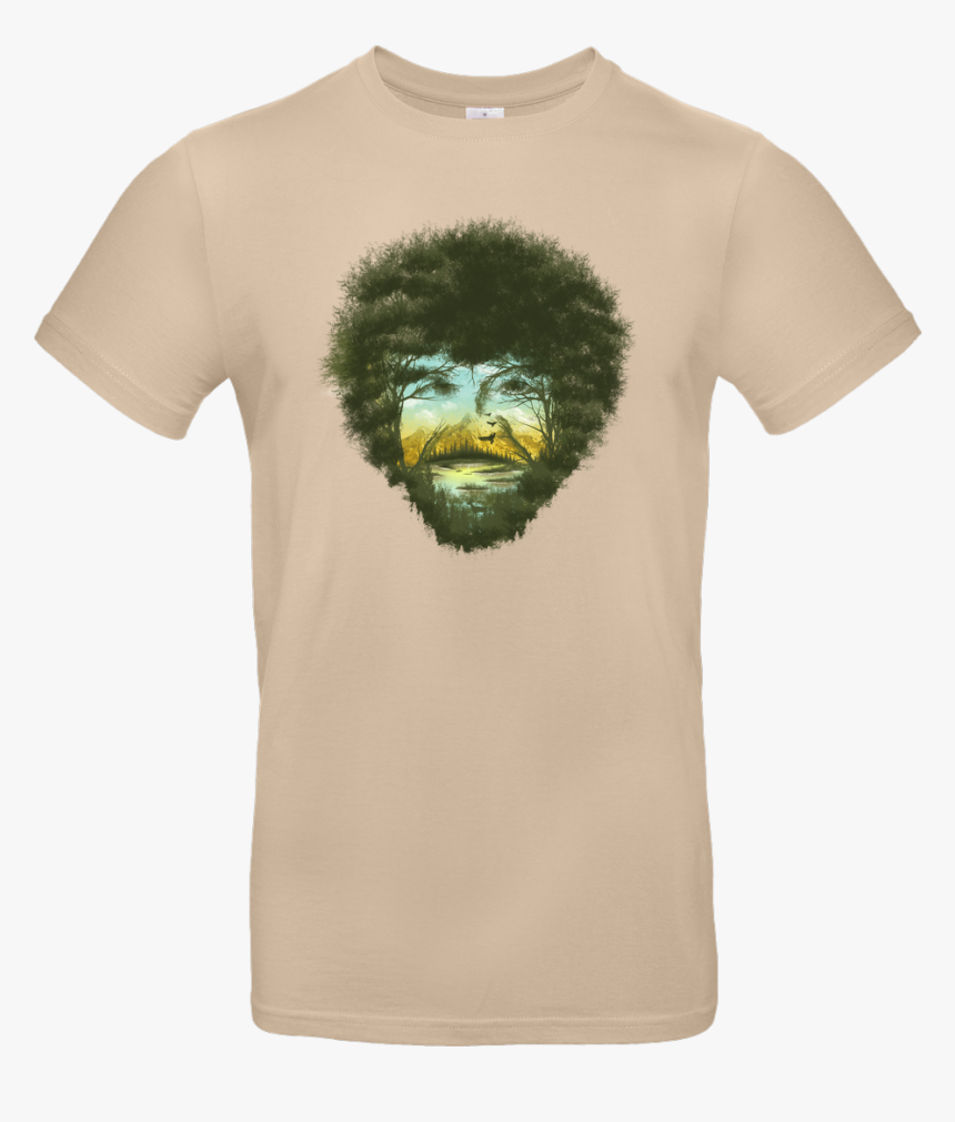 Porcupine, HD Png Download