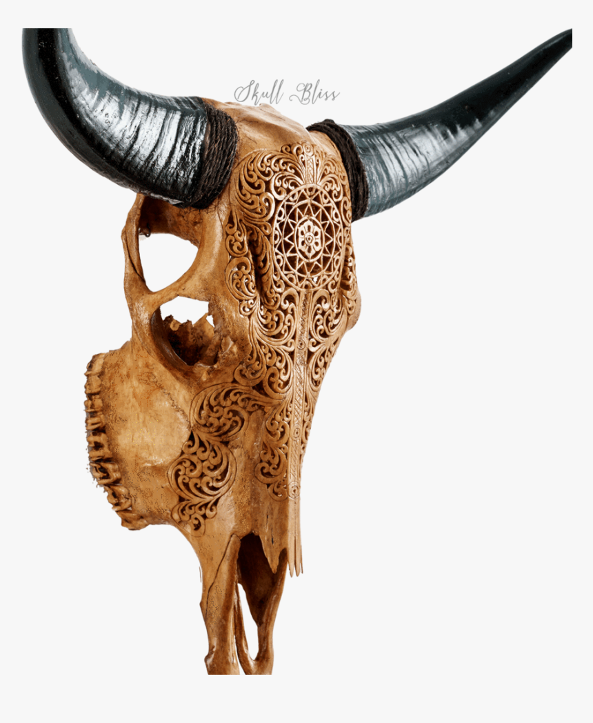 Skull, HD Png Download