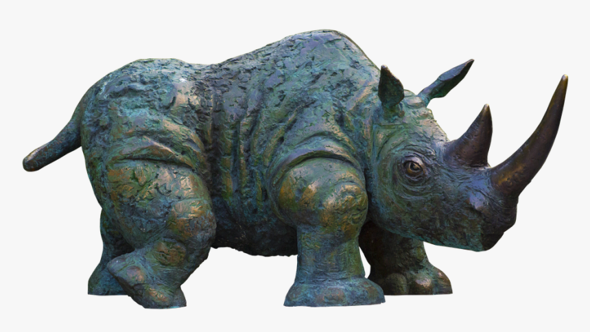 Rhino, Horn, Pachyderm, Horns, Big Game, Head - Con Khung Long Tê Giác, HD Png Download