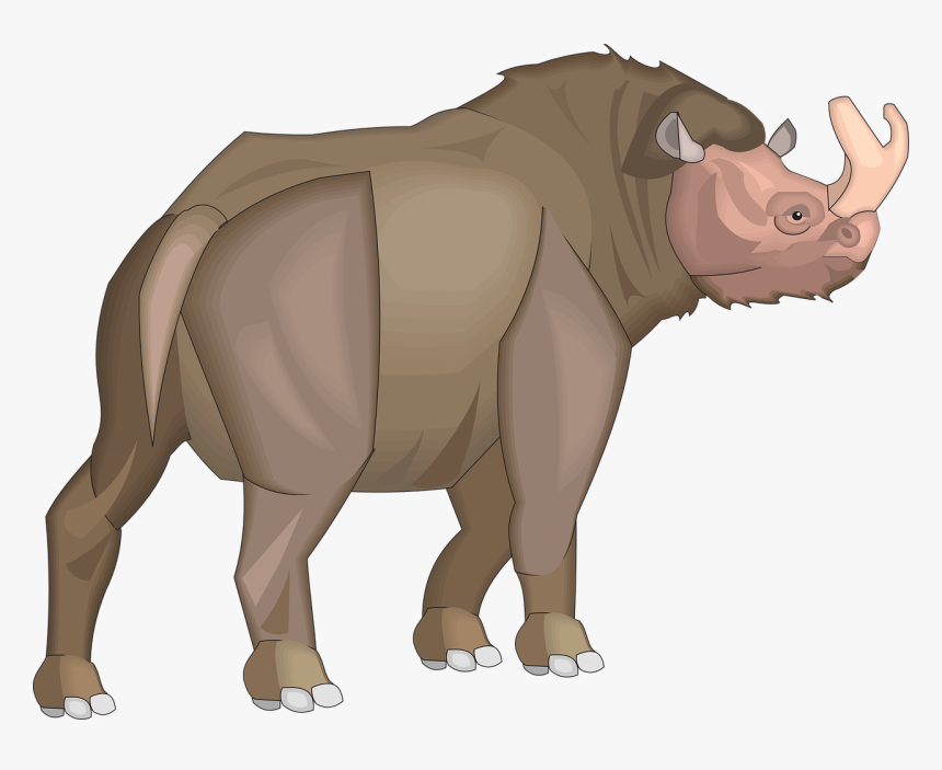 View, Side, Horns, Animal, Ancient - Prehistoric Two Horn Rhino, HD Png Download