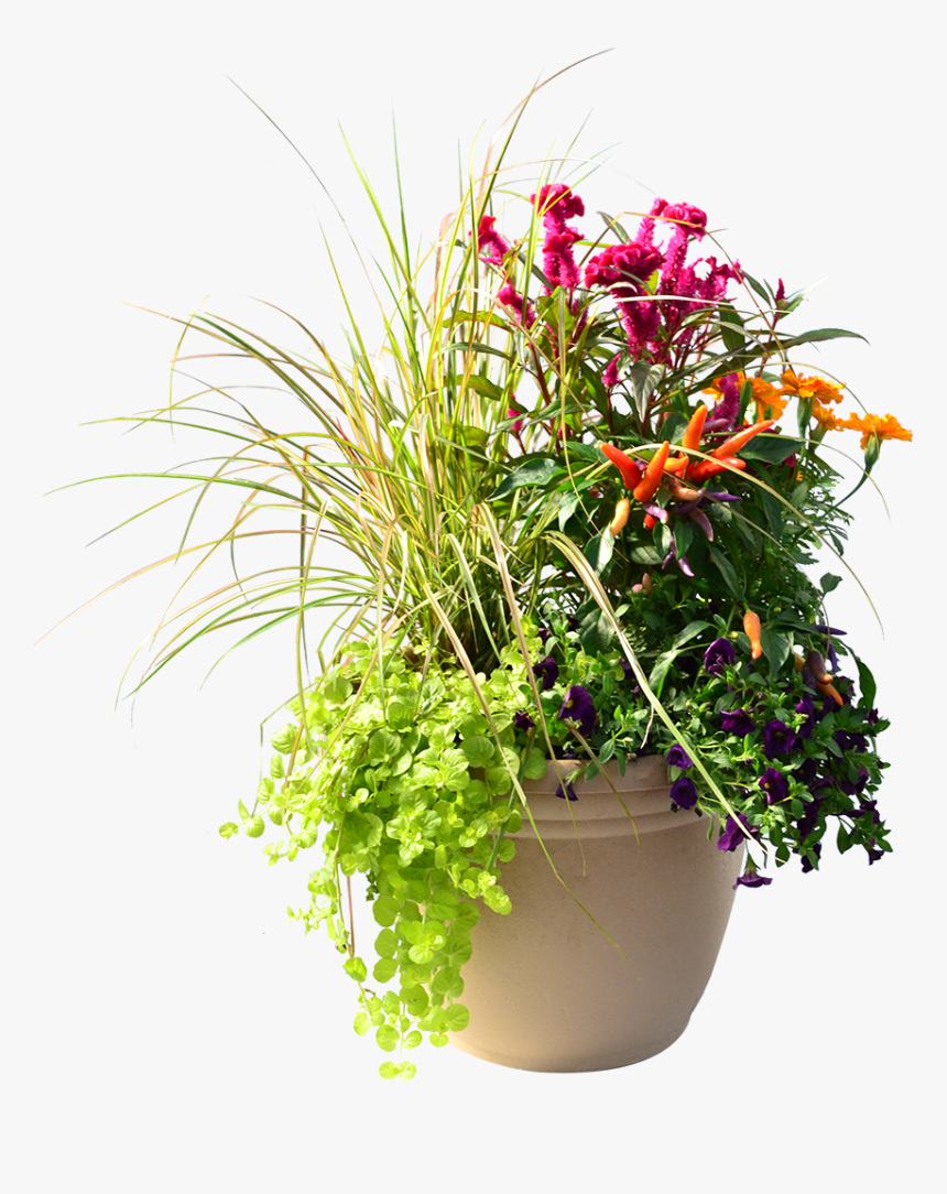 Flowerpot, HD Png Download