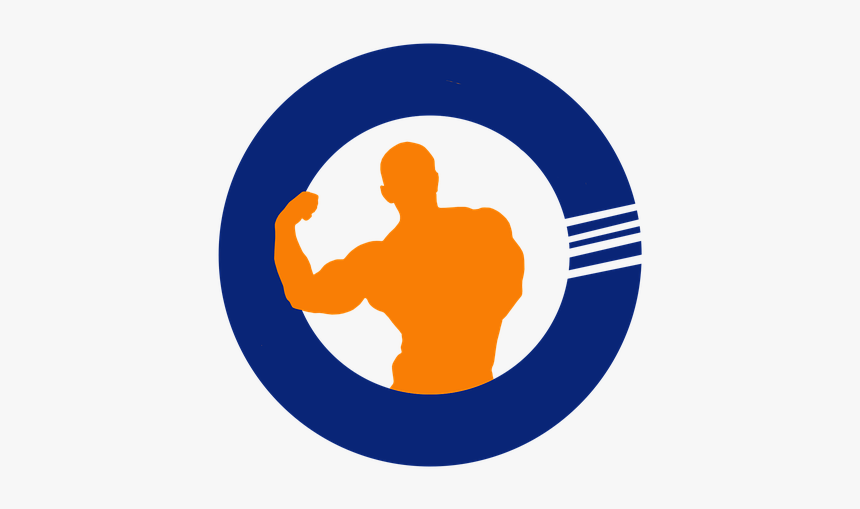 Gym, Weight Loss, Muscle, Exercise, Logo - Image, HD Png Download